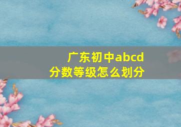 广东初中abcd分数等级怎么划分