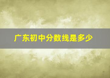 广东初中分数线是多少