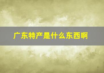 广东特产是什么东西啊