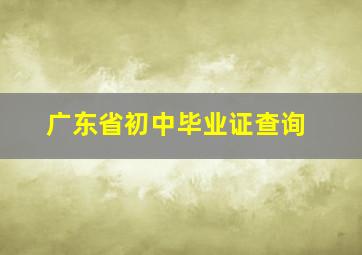 广东省初中毕业证查询