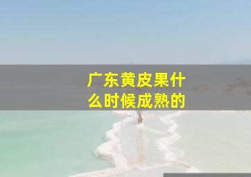 广东黄皮果什么时候成熟的