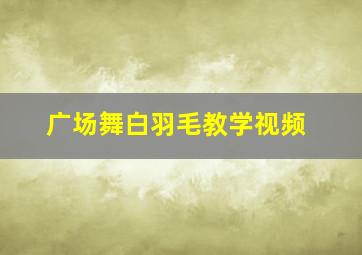 广场舞白羽毛教学视频