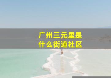 广州三元里是什么街道社区