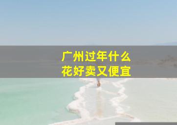 广州过年什么花好卖又便宜