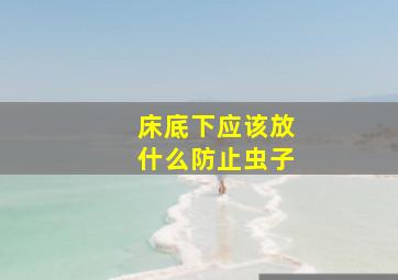 床底下应该放什么防止虫子