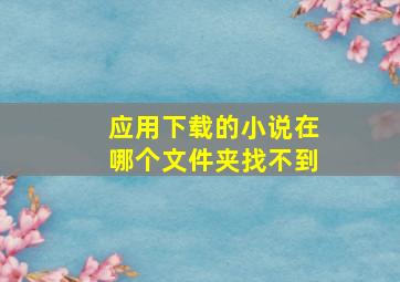 应用下载的小说在哪个文件夹找不到