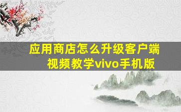 应用商店怎么升级客户端视频教学vivo手机版