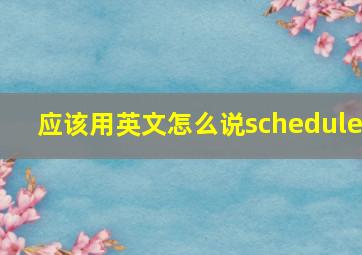 应该用英文怎么说schedule