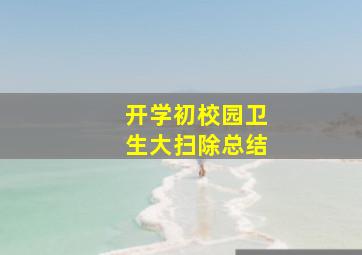 开学初校园卫生大扫除总结