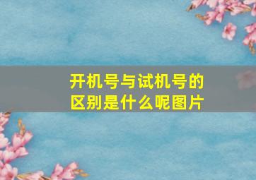 开机号与试机号的区别是什么呢图片