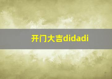 开门大吉didadi