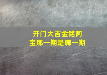 开门大吉金铭阿宝那一期是哪一期