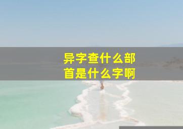 异字查什么部首是什么字啊