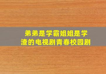 弟弟是学霸姐姐是学渣的电视剧青春校园剧