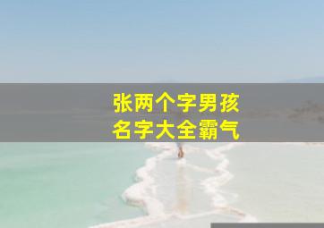 张两个字男孩名字大全霸气