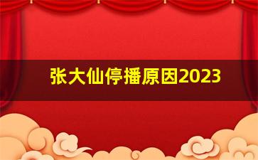 张大仙停播原因2023