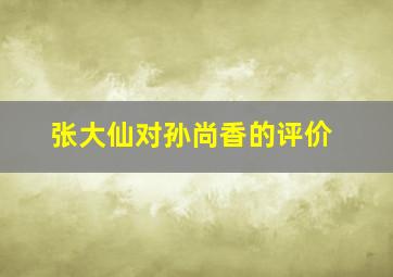 张大仙对孙尚香的评价