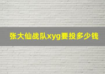 张大仙战队xyg要投多少钱