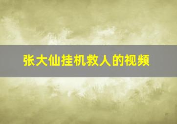 张大仙挂机救人的视频