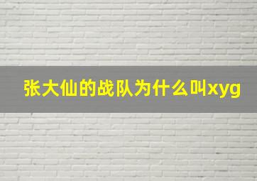 张大仙的战队为什么叫xyg