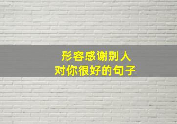 形容感谢别人对你很好的句子