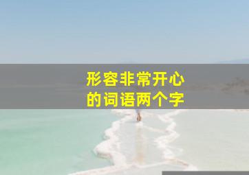 形容非常开心的词语两个字