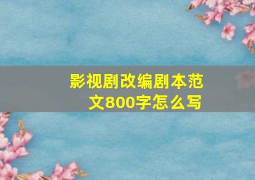 影视剧改编剧本范文800字怎么写