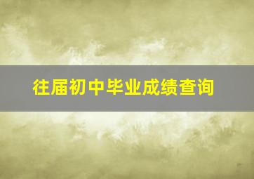 往届初中毕业成绩查询