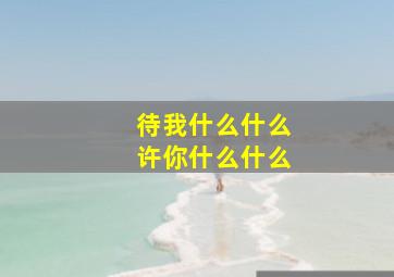 待我什么什么许你什么什么