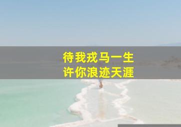 待我戎马一生许你浪迹天涯