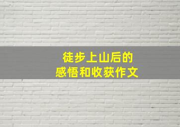 徒步上山后的感悟和收获作文