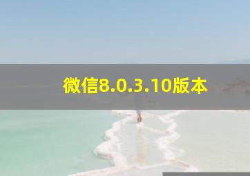 微信8.0.3.10版本