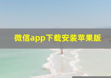 微信app下载安装苹果版