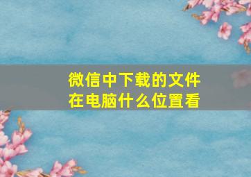 微信中下载的文件在电脑什么位置看