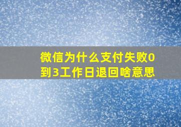 微信为什么支付失败0到3工作日退回啥意思