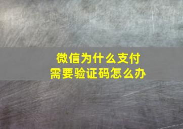 微信为什么支付需要验证码怎么办