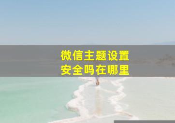 微信主题设置安全吗在哪里