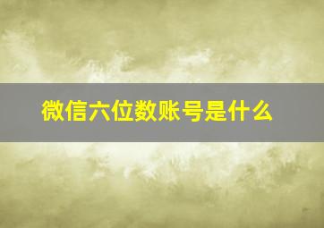 微信六位数账号是什么