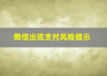 微信出现支付风险提示