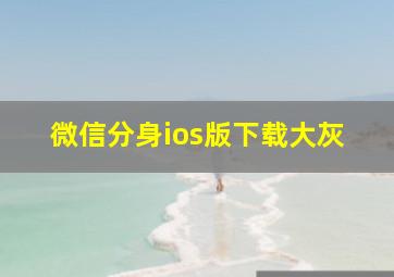 微信分身ios版下载大灰