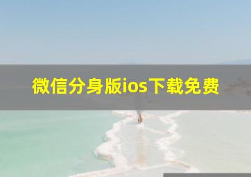 微信分身版ios下载免费