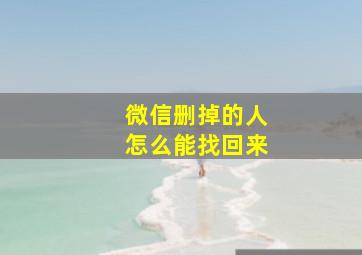 微信删掉的人怎么能找回来