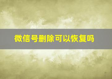 微信号删除可以恢复吗