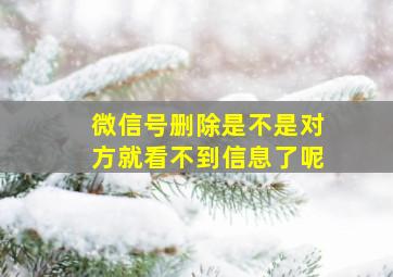 微信号删除是不是对方就看不到信息了呢