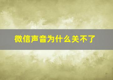 微信声音为什么关不了