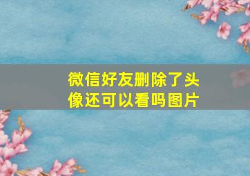 微信好友删除了头像还可以看吗图片