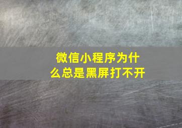 微信小程序为什么总是黑屏打不开