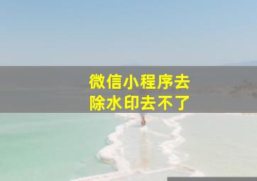 微信小程序去除水印去不了