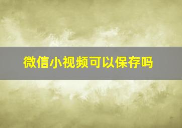 微信小视频可以保存吗