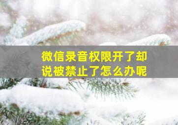 微信录音权限开了却说被禁止了怎么办呢